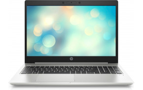 HP ProBook 455 G7 Notebook 39.6 cm (15.6") Full HD AMD Ryzen 3 16 GB DDR4-SDRAM 256 GB SSD Wi-Fi 6 (802.11ax) Windows 10 Pro Silver
