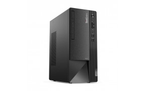 Lenovo ThinkCentre neo 50t Tower Intel® Core™ i5 i5-12400 8 GB DDR4-SDRAM 256 GB SSD Windows 11 Pro PC Black, Grey